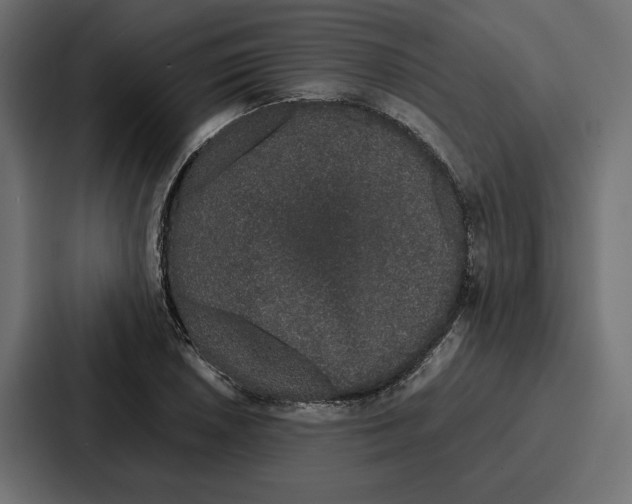 X0000086741026200705111631