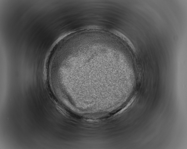 X0000086741027200705111631