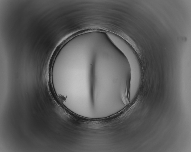 X0000086741028200705111631