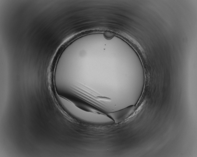 X0000086741029200705111631