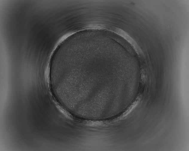 X0000086741030200705111631