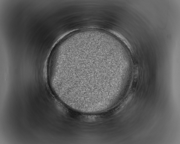 X0000086741031200705111631