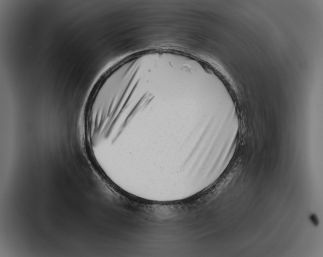 X0000086741032200705111631