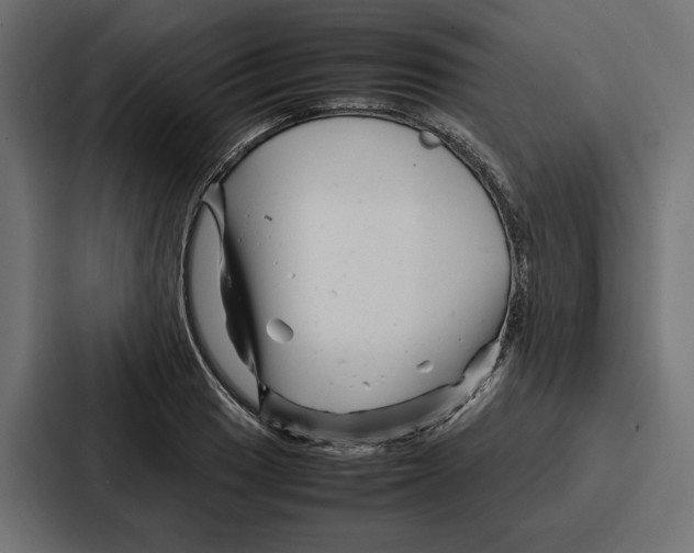 X0000086741033200705111631