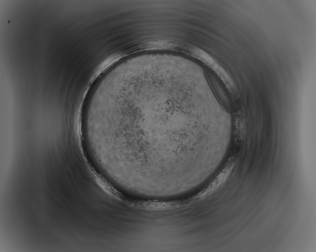 X0000086741034200705111631