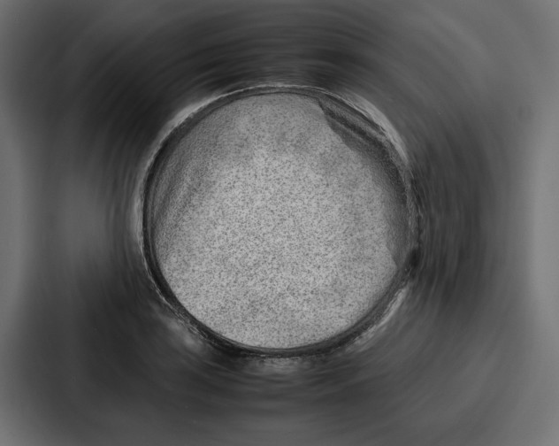 X0000086741035200705111631