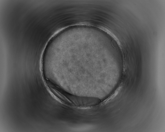 X0000086741037200705111631