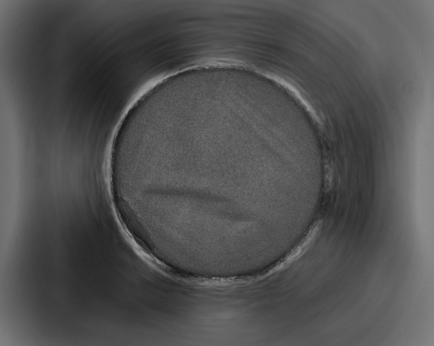 X0000086741038200705111631