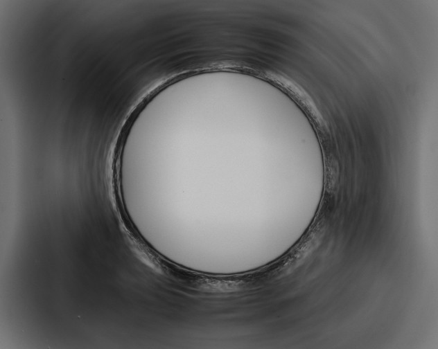 X0000086741039200705111631