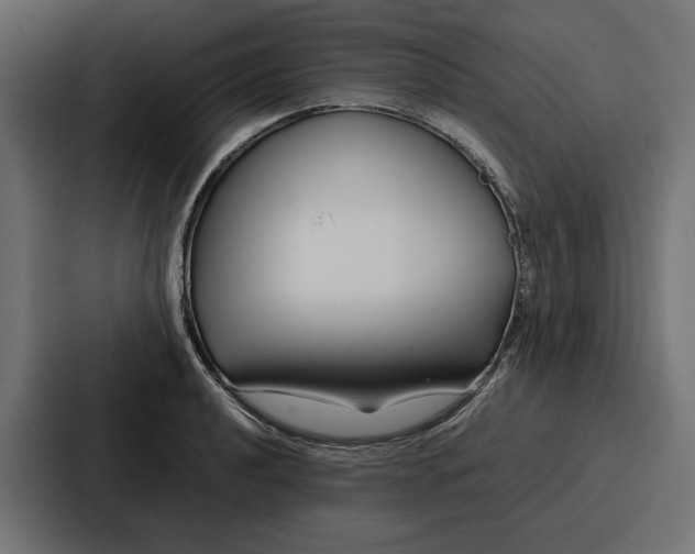 X0000086741040200705111631