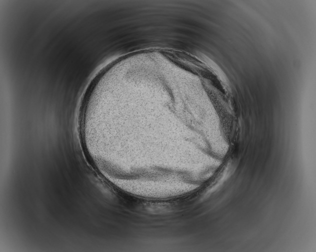 X0000086741043200705111631