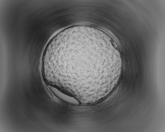 X0000086741044200705111631