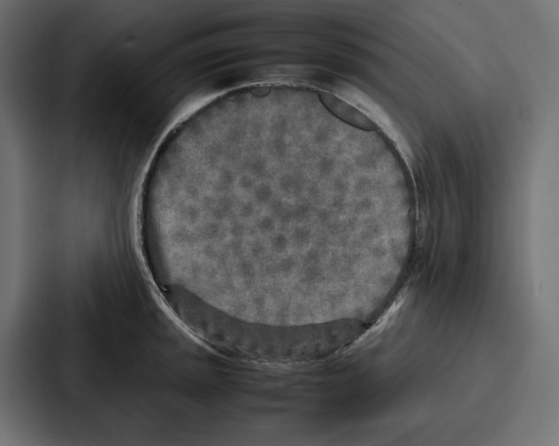 X0000086741045200705111631