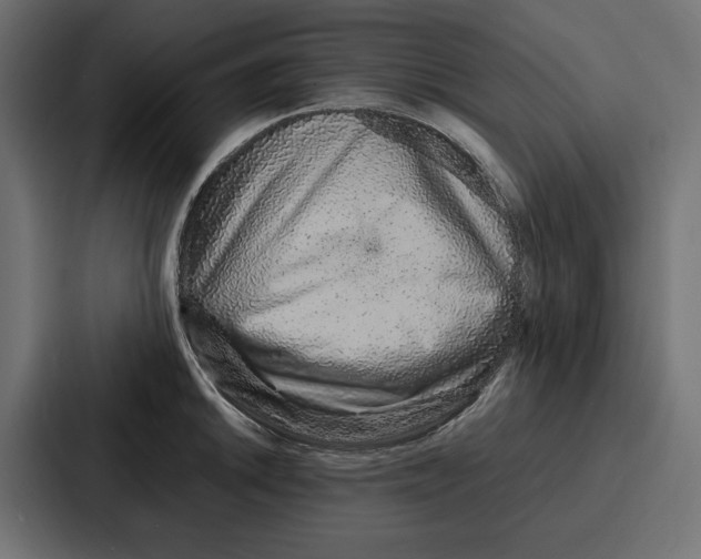 X0000086741046200705111631