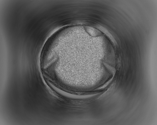 X0000086741047200705111631