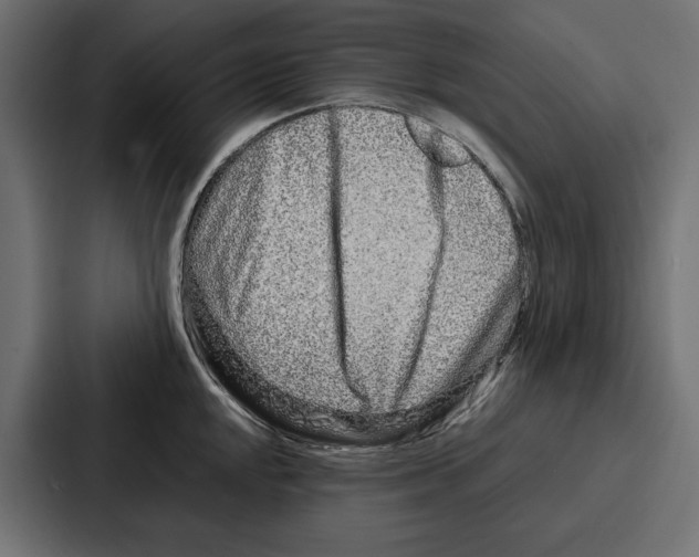 X0000086741048200705111631