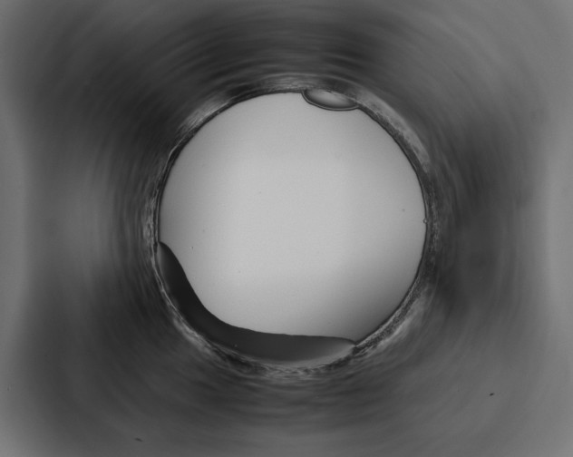 X0000086741049200705111631