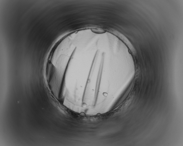 X0000086741051200705111631