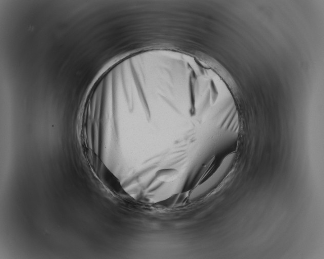 X0000086741052200705111631