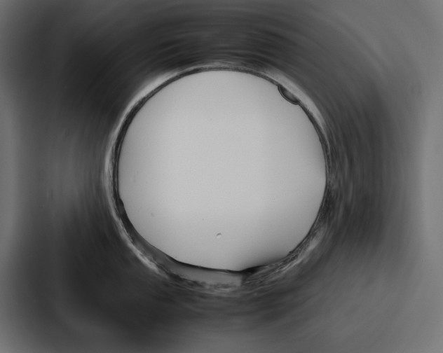 X0000086741053200705111631