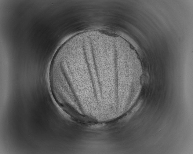 X0000086741055200705111631