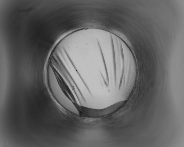 X0000086741056200705111631