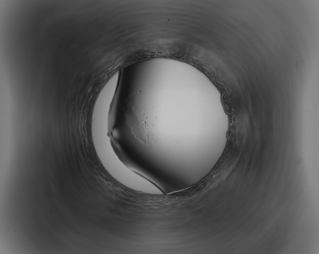 X0000086741058200705111630