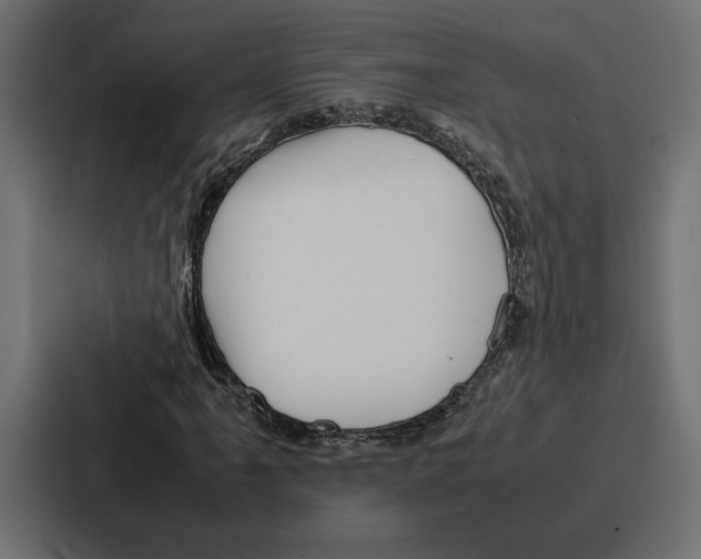 X0000086741061200705111630