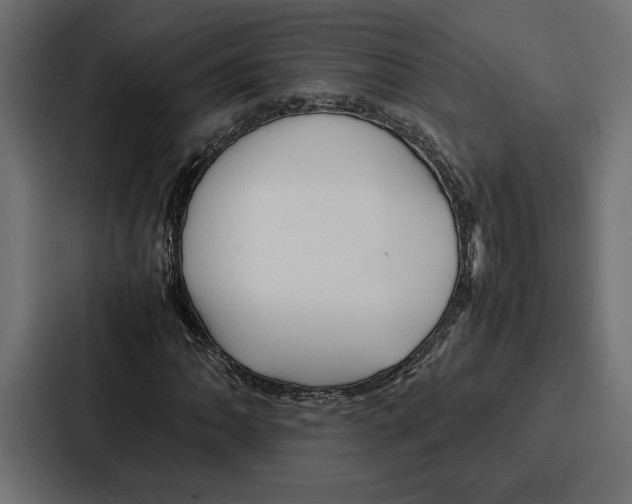 X0000086741062200705111630