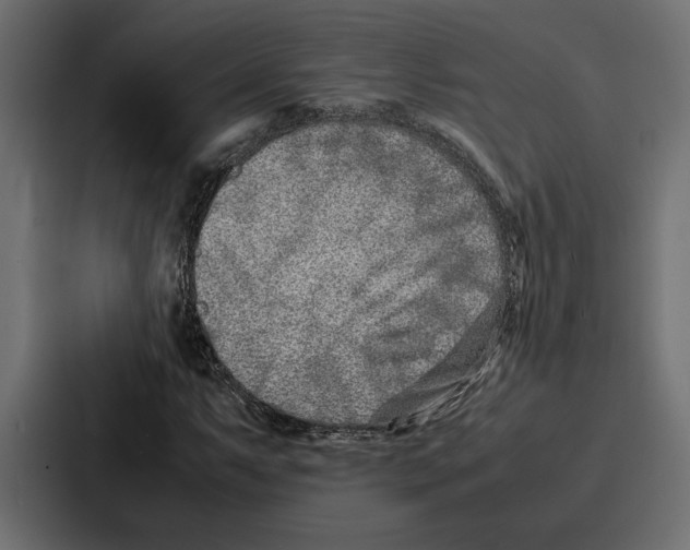 X0000086741063200705111630