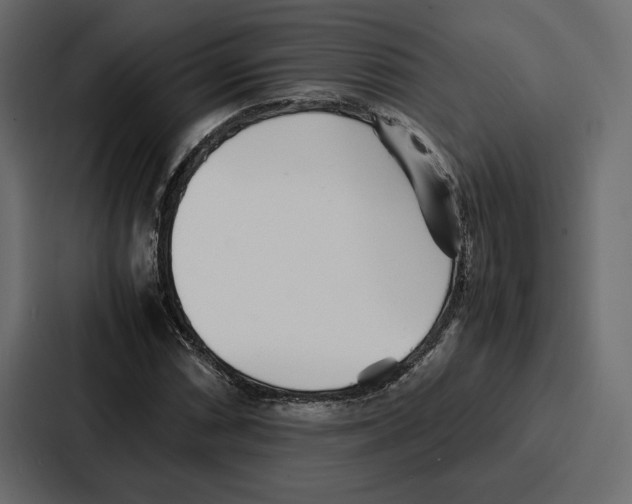 X0000086741066200705111630