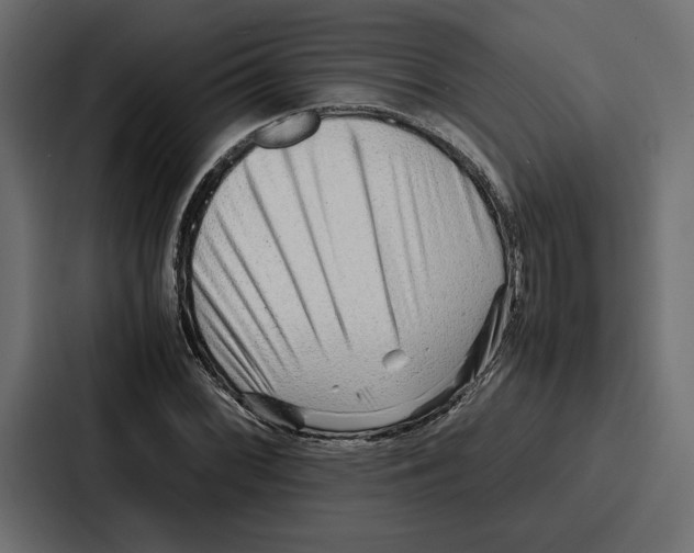 X0000086741068200705111630