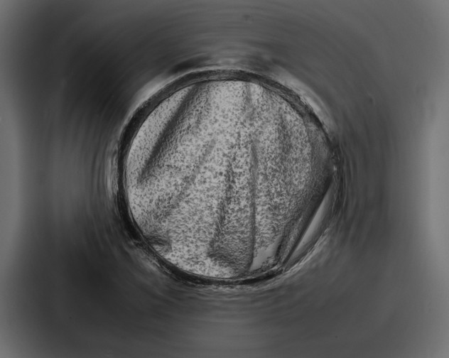 X0000086741069200705111630