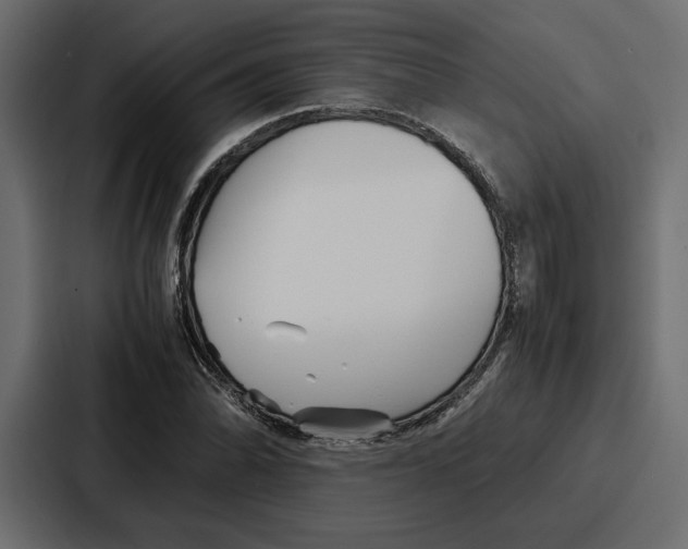 X0000086741070200705111630