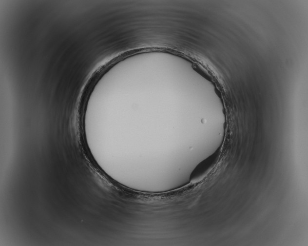 X0000086741072200705111630