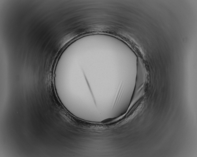 X0000086741073200705111630