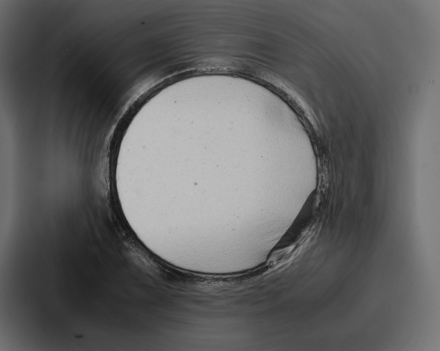 X0000086741075200705111630