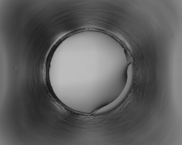 X0000086741076200705111630