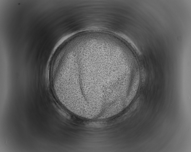 X0000086741078200705111630