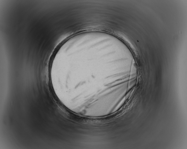 X0000086741079200705111630