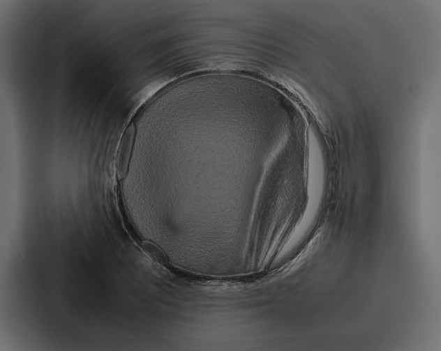 X0000086741081200705111630