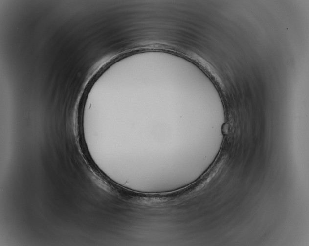 X0000086741082200705111630