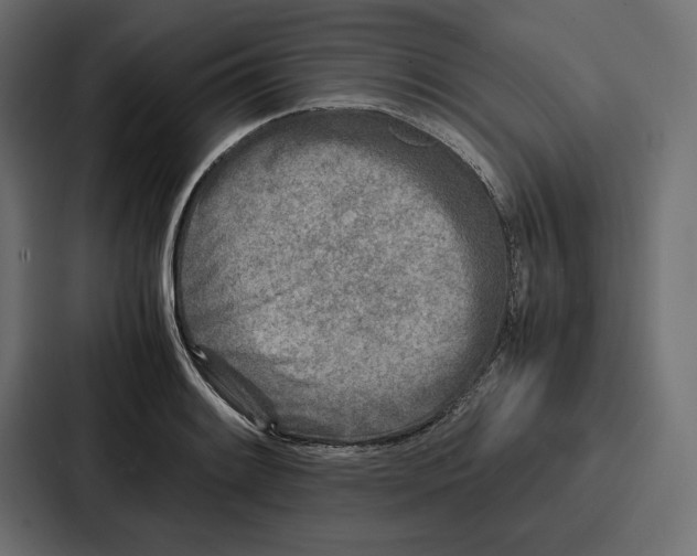 X0000086741084200705111630