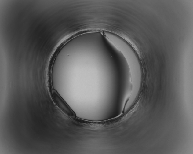 X0000086741085200705111630