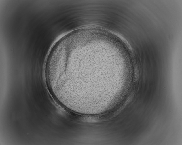 X0000086741086200705111630