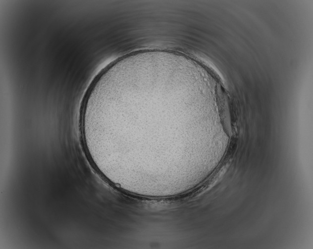 X0000086741087200705111630