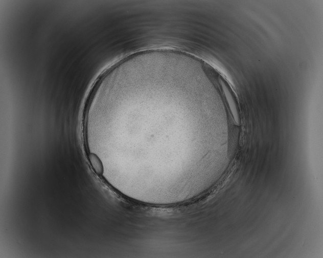 X0000086741088200705111630