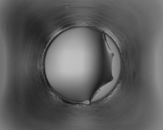 X0000086741089200705111630