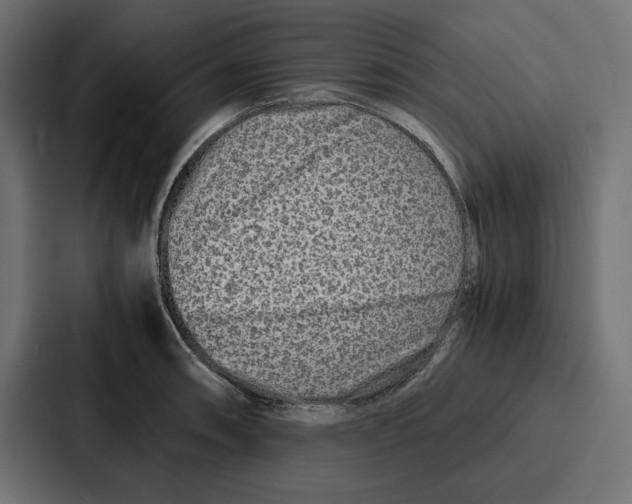 X0000086741090200705111630