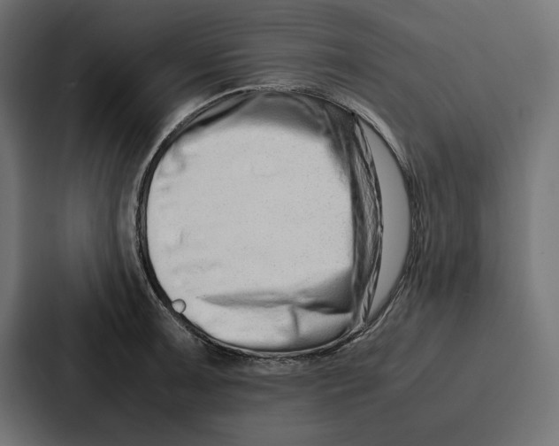 X0000086741091200705111630